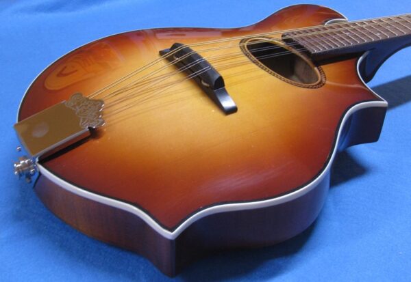 Mancuso Guitars shop, chitarre, bassi, liuteria, basso, chitarra, mandolino