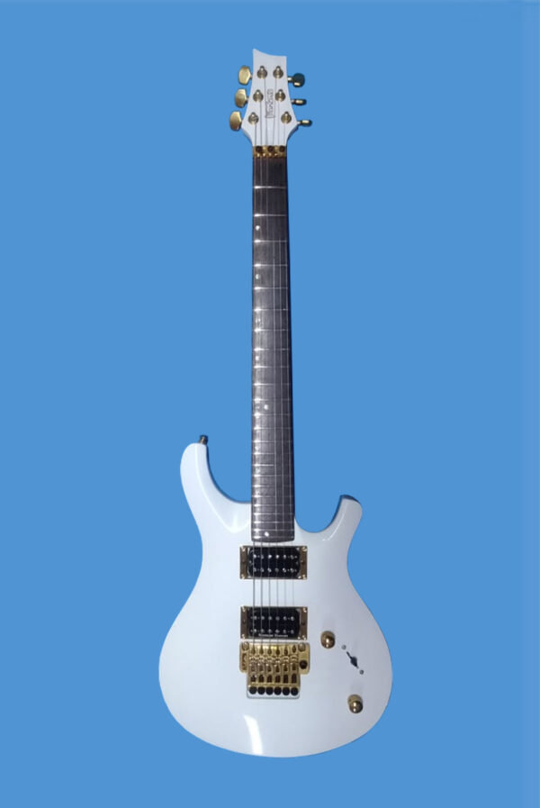 Mancuso Guitars shop, chitarre, bassi, liuteria, basso, chitarra, telecaster, stratocaster, mandolino
