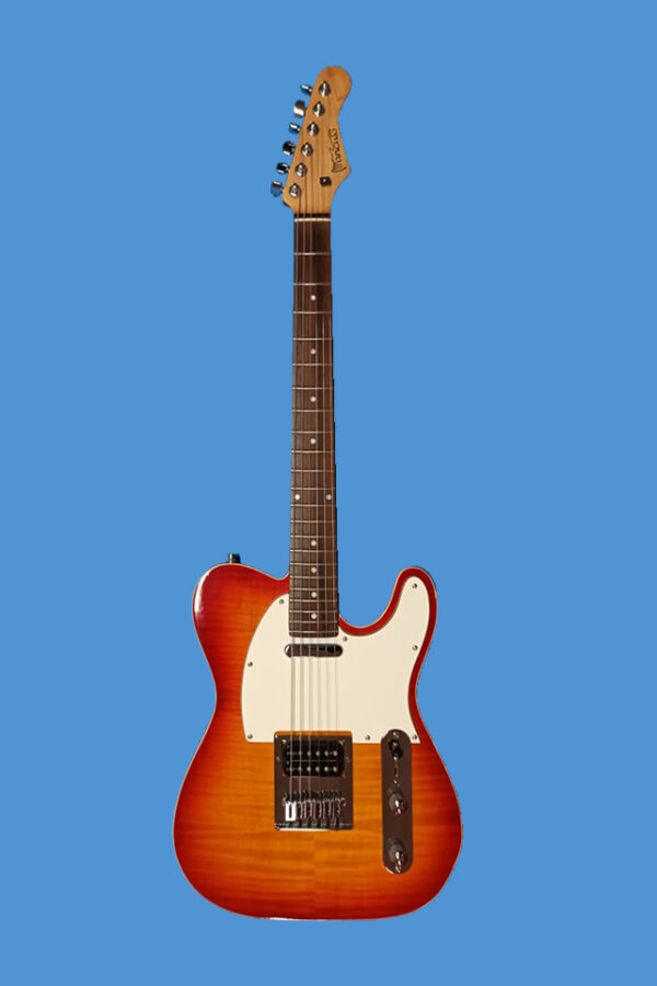 Mancuso Guitars shop, chitarre, bassi, liuteria, basso, chitarra, mandolino