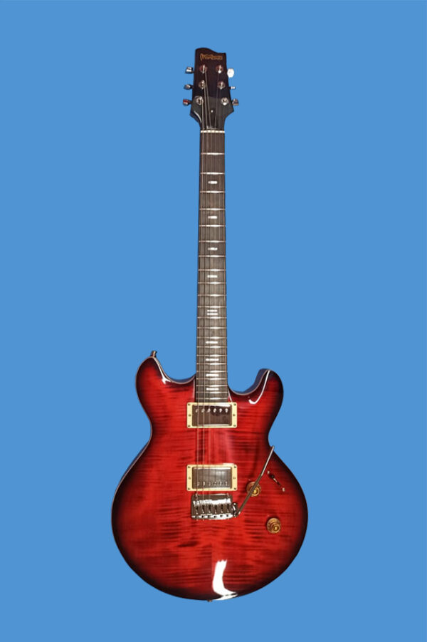 Mancuso Guitars shop, chitarre, bassi, liuteria, basso, chitarra, telecaster, stratocaster, prs, mandolino
